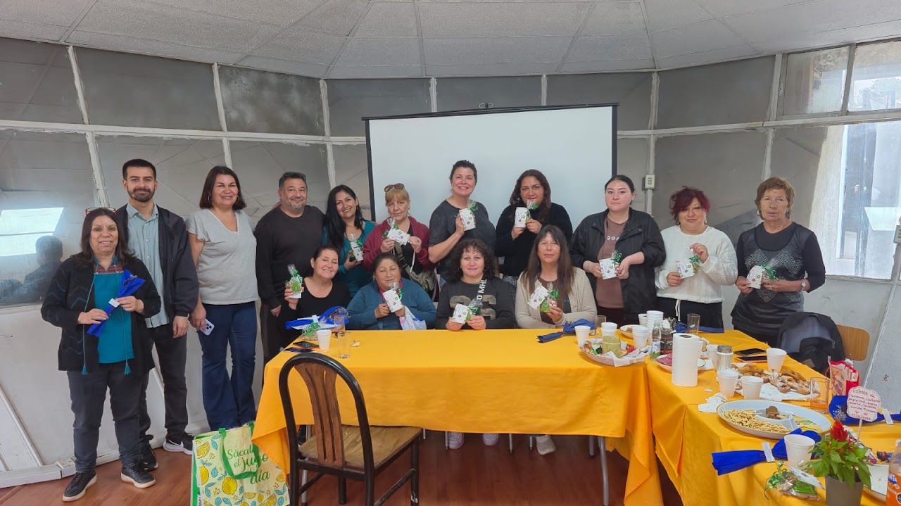 Taller de Cuidadoras Fin de Año en Viña del Mar